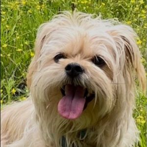 Meet your Posher, Kate